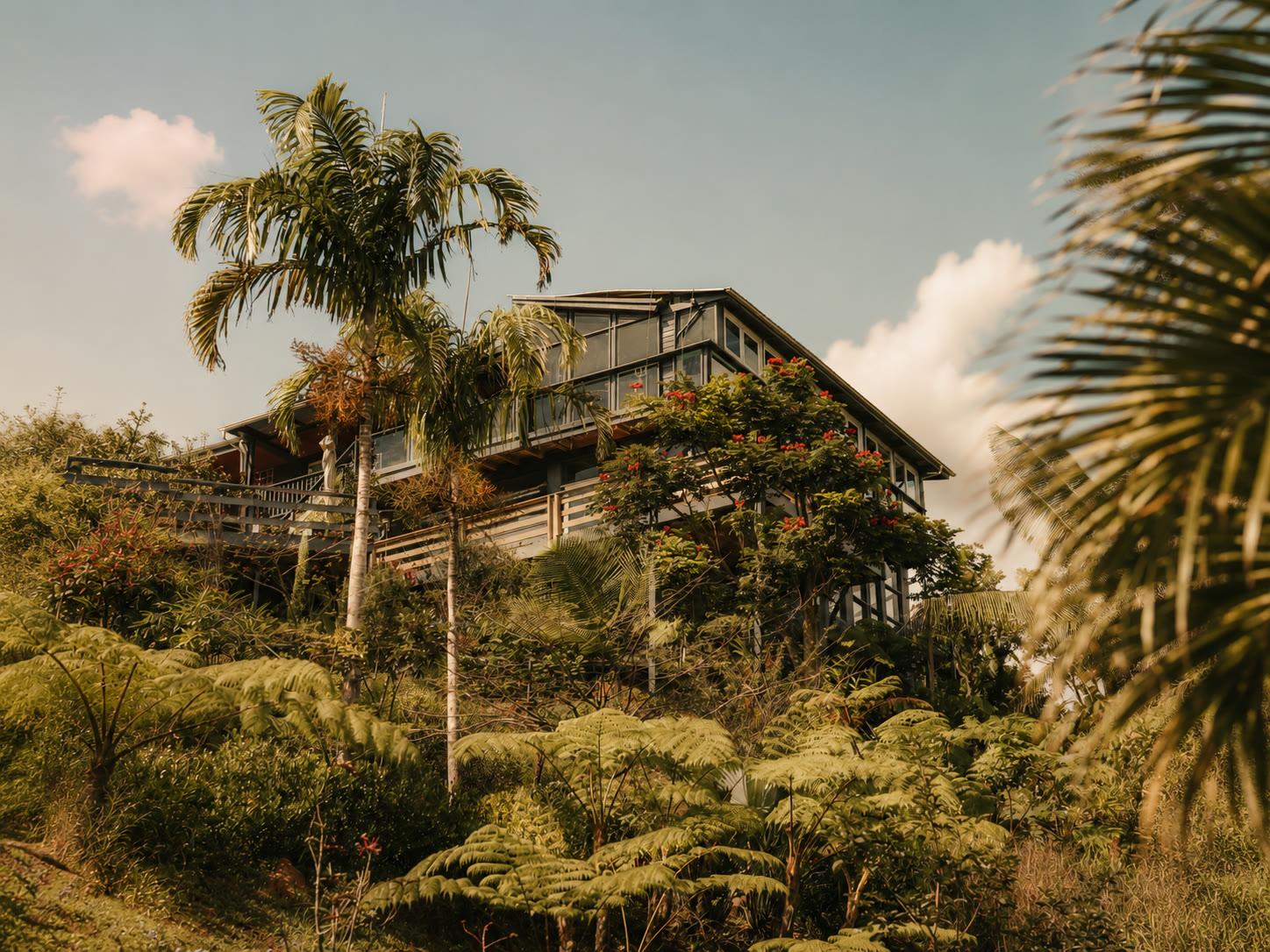 Finca Salvaje in Cayey, a modern open-air venue surrounded by palms and tropical greenery